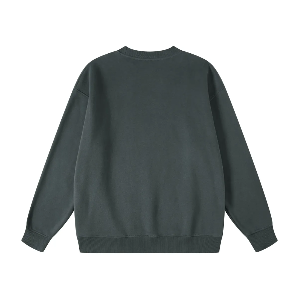 Sweat-shirt graphique pour homme 350 g/m²